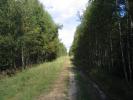 Насыпь в сторону Утреха