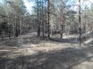 Насыпь на перегоне Лух - Утрех