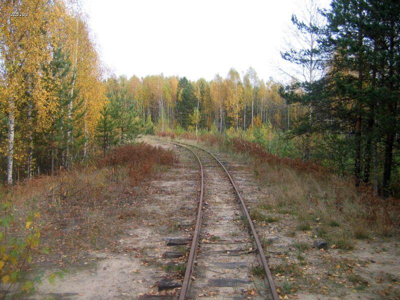 Путь на торфополя