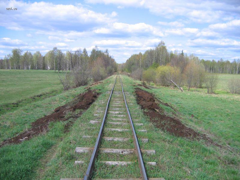 Путь на торфополя