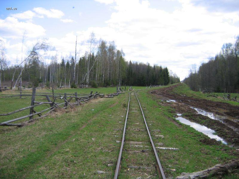 Путь в сторону Арбы