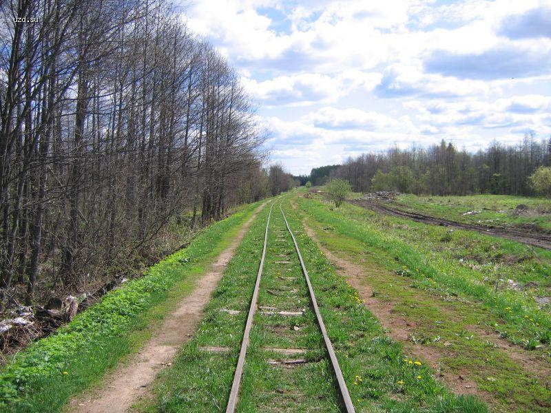 Путь в сторону Арбы