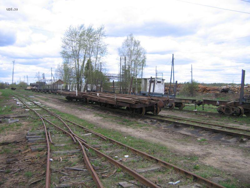 Станция УЖД в Пижме