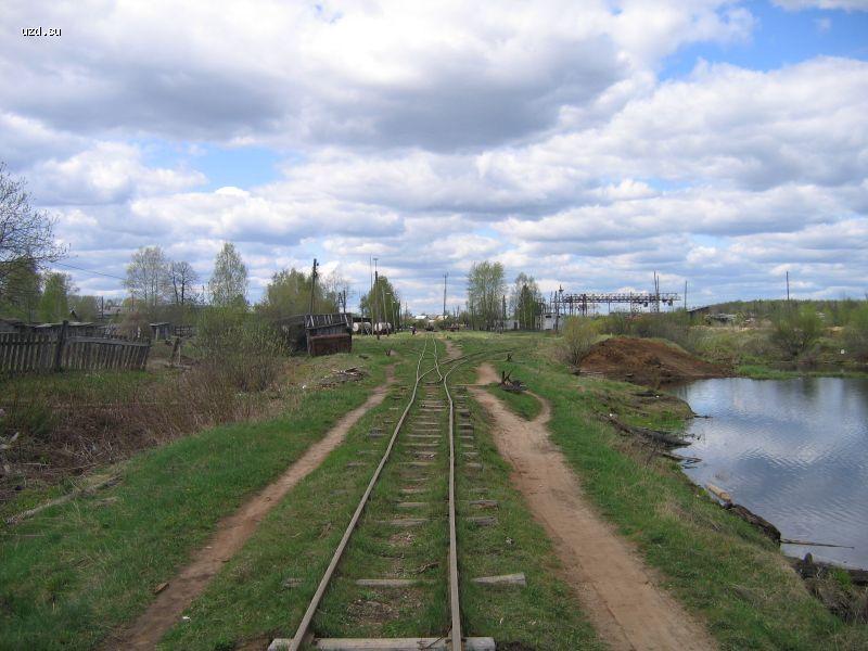Путь в сторону Пижмы