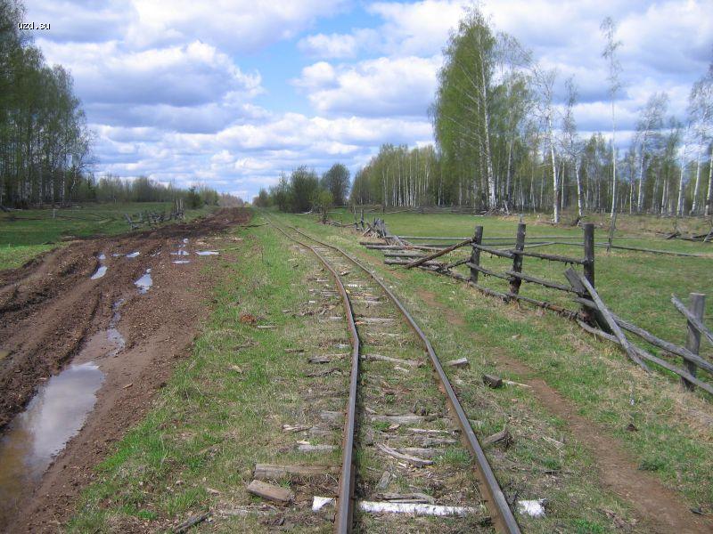 Путь в сторону Пижмы