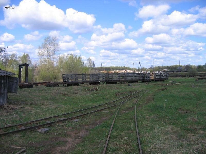 Станция УЖД в Пижме