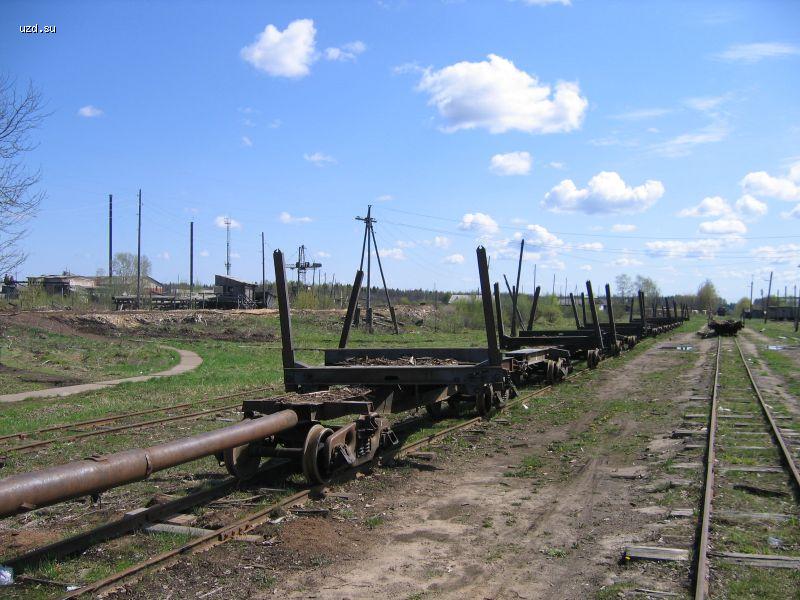 Станция УЖД в Пижме