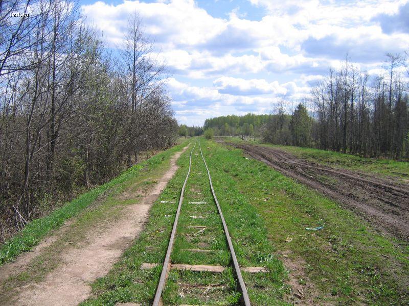 Путь в сторону Арбы
